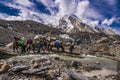 Pakistan Karakoram K2 trekking Royalty Free Stock Photo